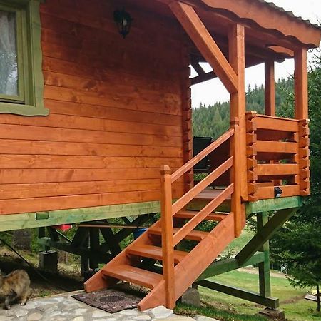 Cabana Casa Craita Zărneşti Extérieur photo