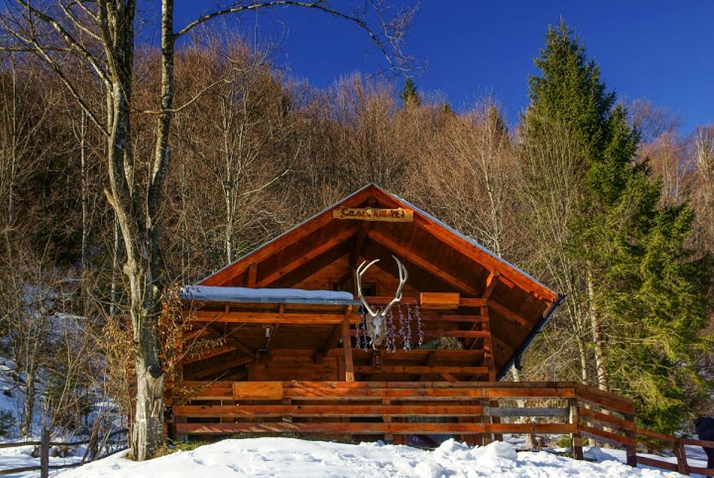 Cabana Casa Craita Zărneşti Chambre photo