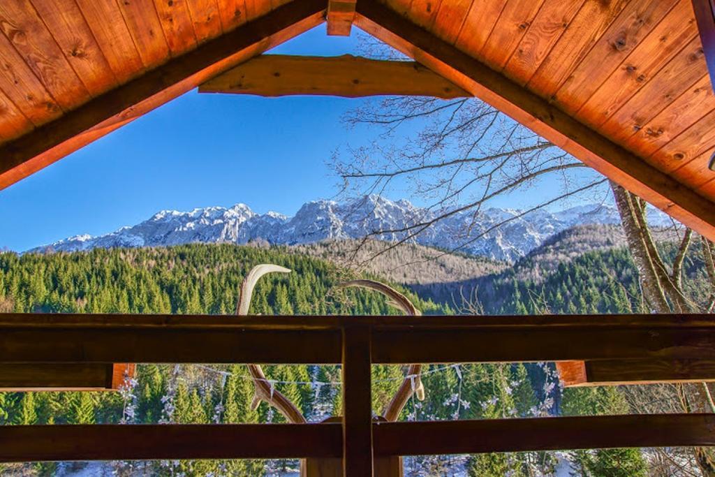Cabana Casa Craita Zărneşti Chambre photo
