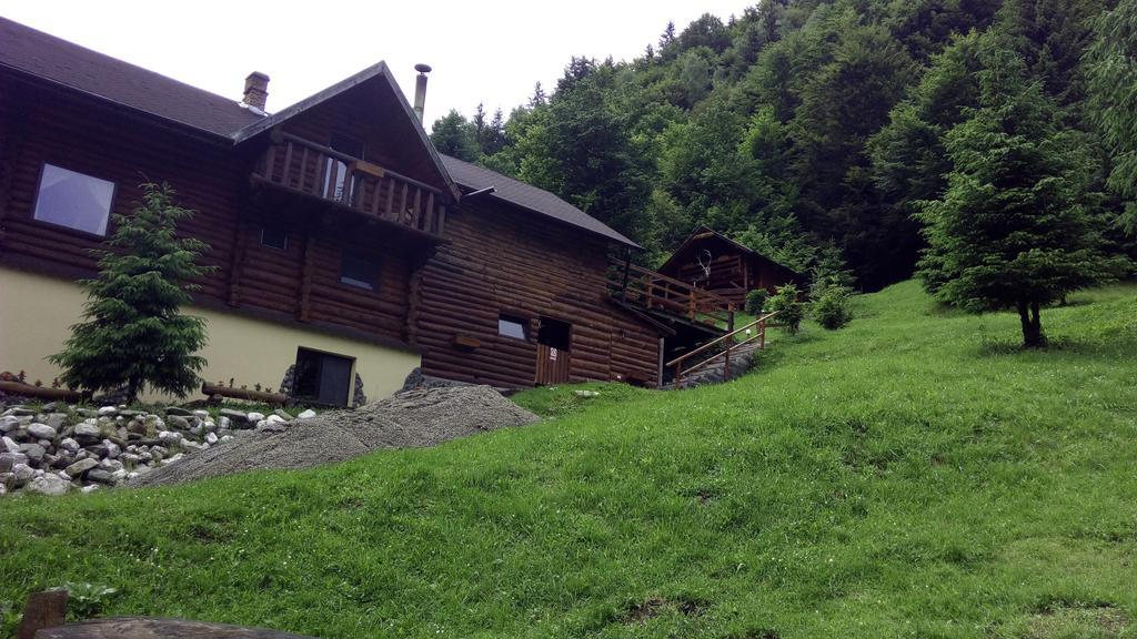 Cabana Casa Craita Zărneşti Extérieur photo
