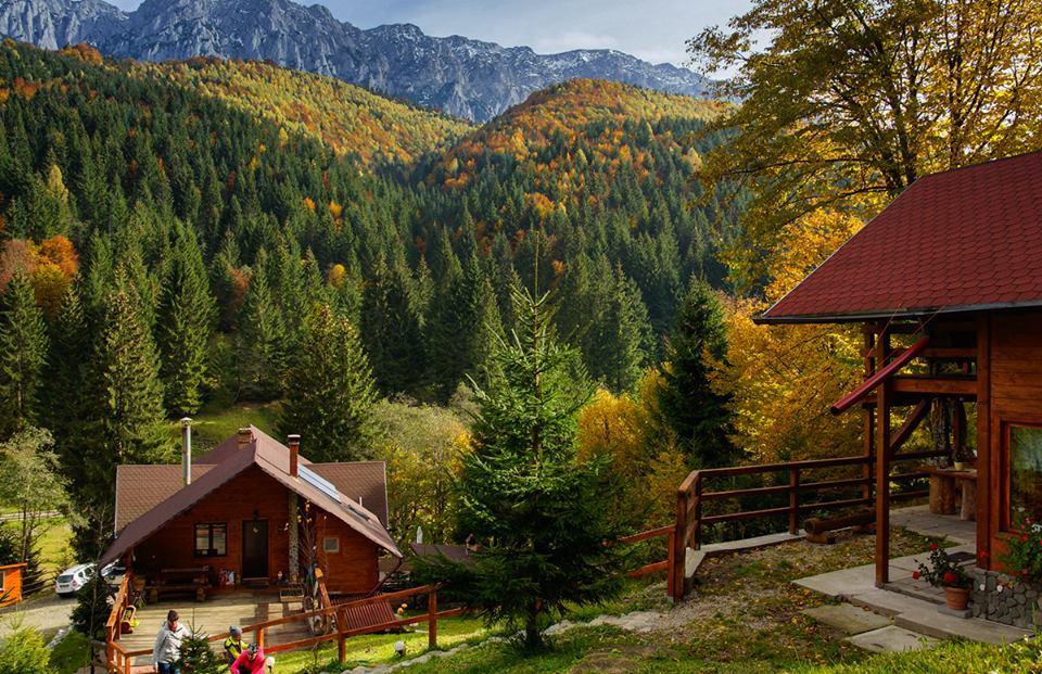 Cabana Casa Craita Zărneşti Extérieur photo