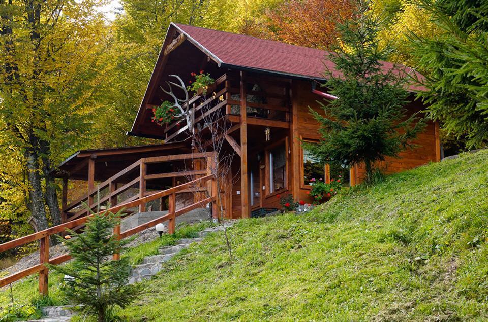 Cabana Casa Craita Zărneşti Extérieur photo