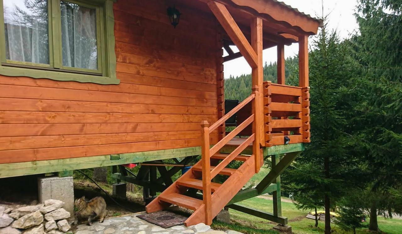 Cabana Casa Craita Zărneşti Extérieur photo