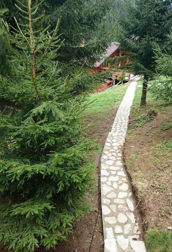 Cabana Casa Craita Zărneşti Extérieur photo